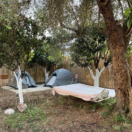Himara Hostel *
