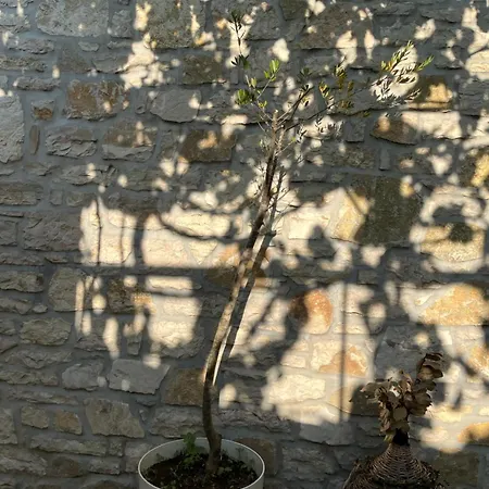 Himara Hostel Χειμάρρα