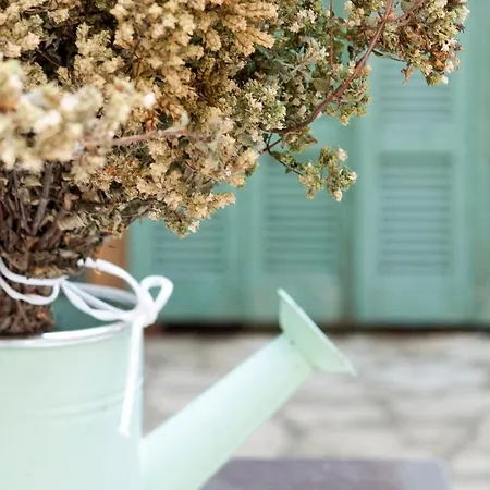 Himara Hostel * Χειμάρρα