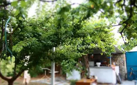 Himara Hostel * Χειμάρρα