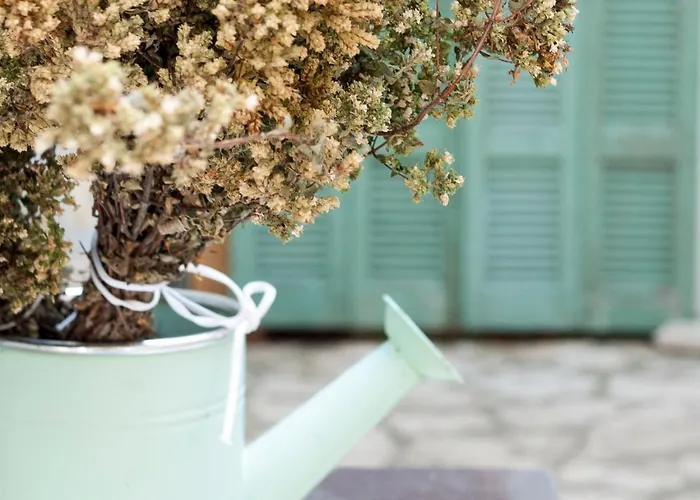 ヒマラ ホステル * ヒマラ