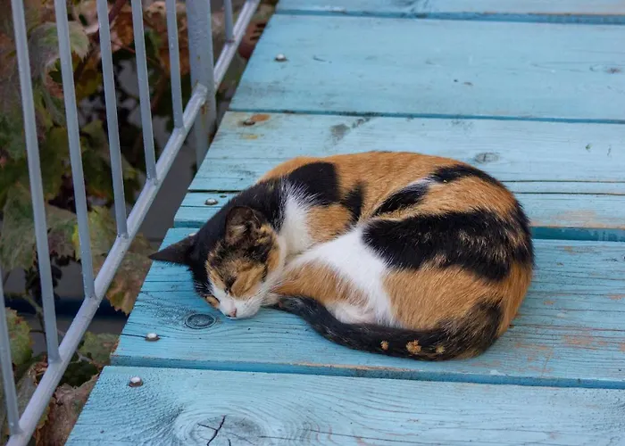 Himara Hostel Hostel Himare